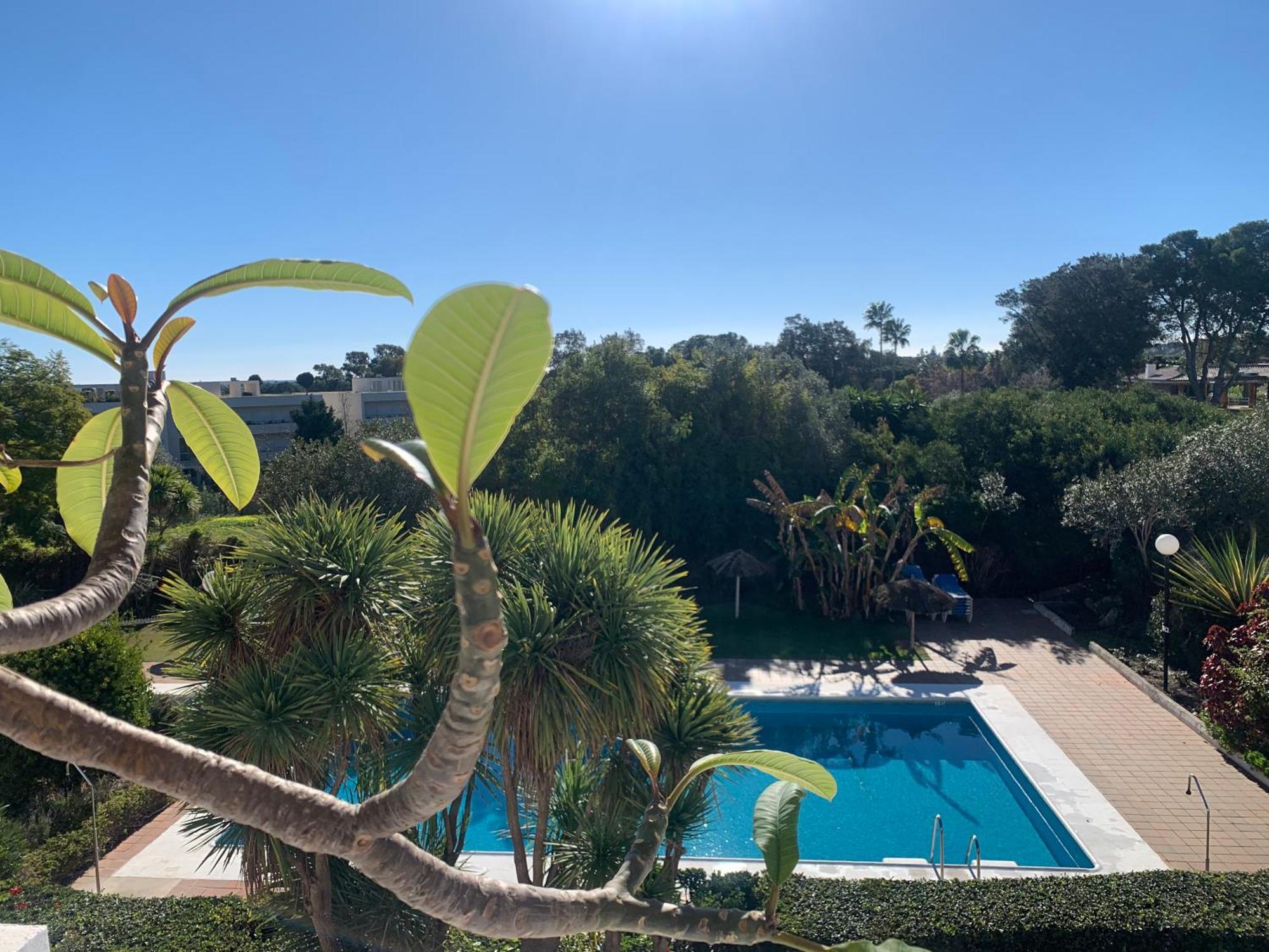 Sotogrande Duplex Near Polo, Best Pool View, 2 Pools, Full South, 7 Drive To Beaches And Port Eksteriør bilde